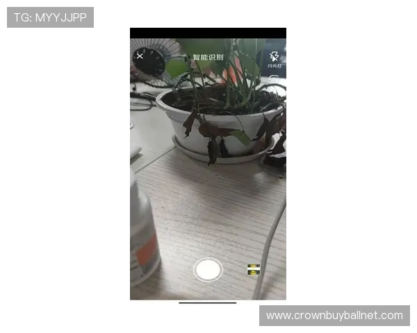 皇冠24500比分足球最新赛事资讯与比分动态一站式获取满足多样化需求